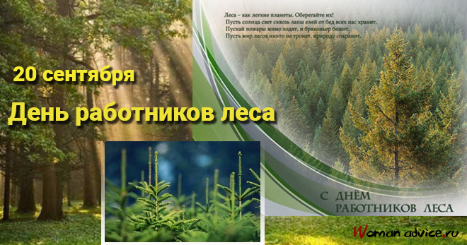 День работников леса 2014 — поздравления в прозе - открытка