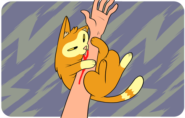Кот кусает руку