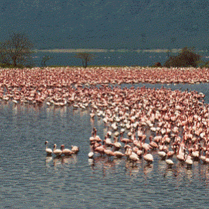 Озеро Богория