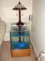 Как сделать аквариум в домашних условиях?