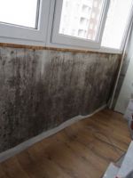 Чем убрать плесень со стен в квартире?