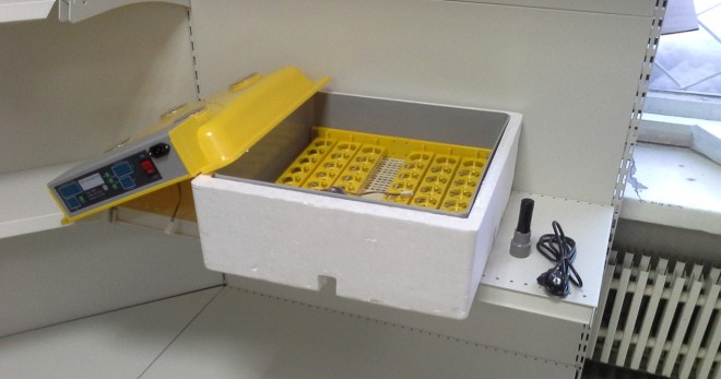 Инкубатор для яиц - все тонкости использования и выбора для новичков