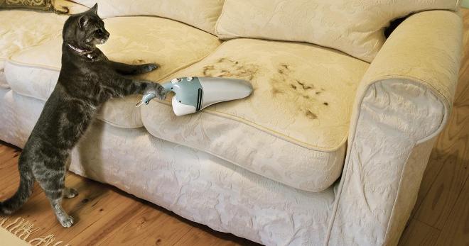 Средство для чистки дивана - как подобрать лучшее для очищения обивки?