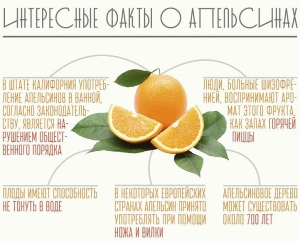 апельсиновая диета для похудения