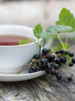 Чай из листьев смородины - польза и вред 