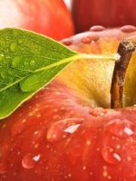 Можно ли похудеть на яблоках?