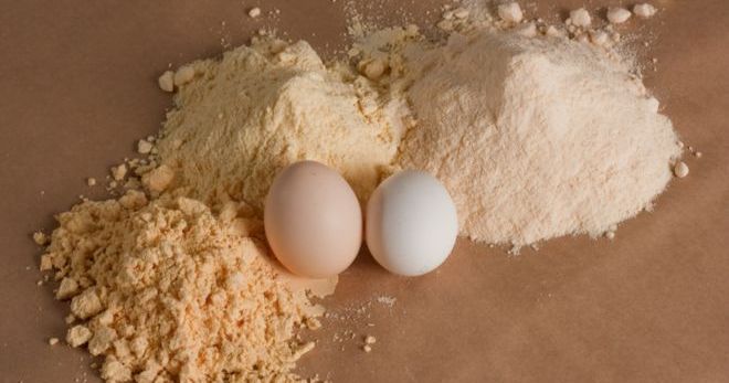 Яичный протеин - эффективность и правила приема