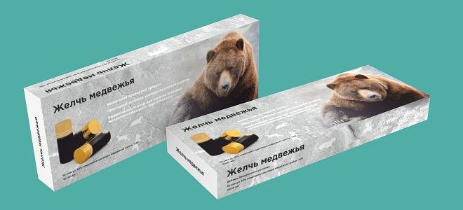 медвежья желчь лечебные свойства и противопоказания2