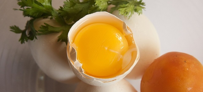 желток яйца польза и вред