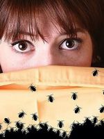 Укусы клопов – как распознать, лечить кожу и избавиться от насекомых навсегда?