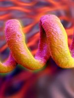 Скрытый сифилис – как быстро выявить и эффективно лечить болезнь?