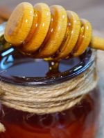 Падевый мед – польза и вред особого продукта, особенности хранения