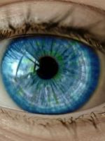 Глаукома глаза – что это такое, как распознать и лечить патологию на всех стадиях?