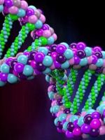Что такое ДНК простыми словами, в чем секрет генетической информации?