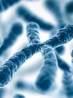 Сколько хромосом у человека, и какие важные функции они выполняют?