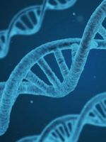 Что такое ген, какую информацию хранит геном человека?
