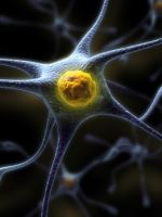 Нервная ткань – строение, виды и работа нейронов