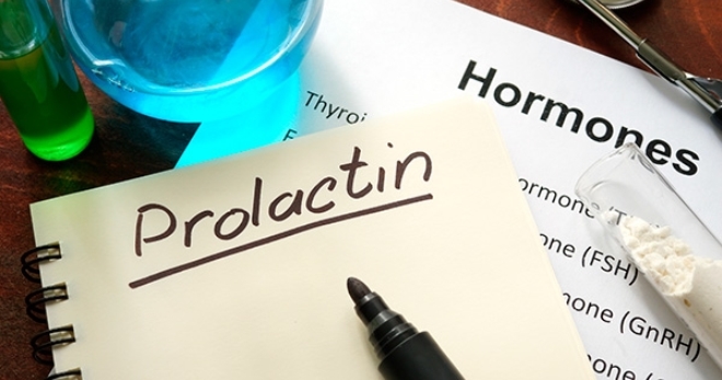Пролактин – норма у женщин по возрасту, таблица и причины отклонений