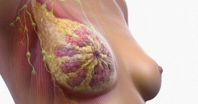 Рак молочной железы – как вовремя заметить онкологию?