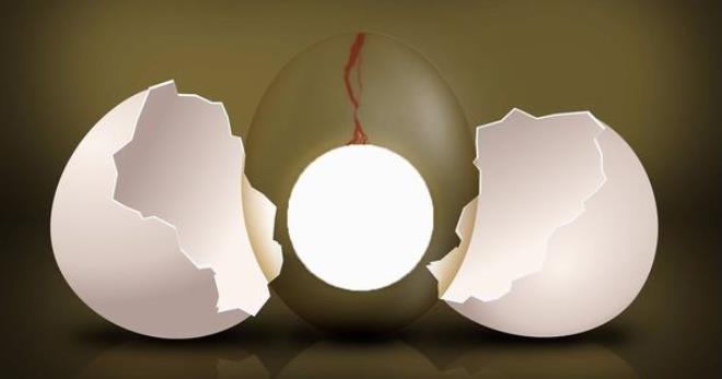 Анэмбриония – причины пустого плодного яйца и возможности нормальной беременности