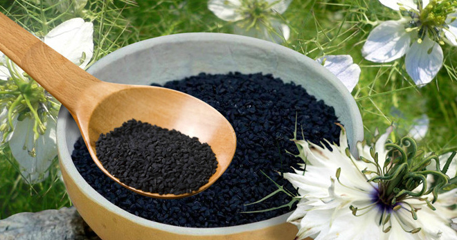 Черный тмин – ценные свойства и применение калинджи в народной медицине