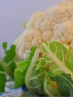 Можно ли кормящей маме цветную капусту?