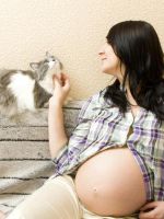 Почему беременным нельзя гладить кошек?