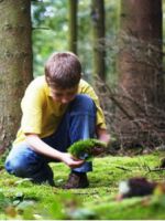 Правила поведения в лесу для детей – памятка