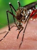 Что помогает от укусов комаров детям?