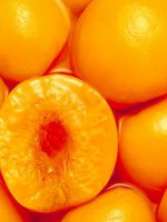 Как заморозить абрикосы на зиму с сахаром?