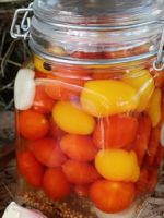Консервирование томатов на зиму – рецепты