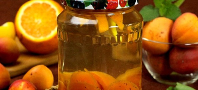 абрикосовый компот с апельсином на зиму рецепт