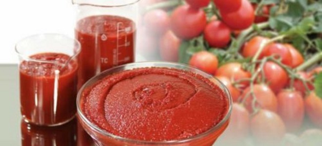 как приготовить томатную пасту из свежих помидор