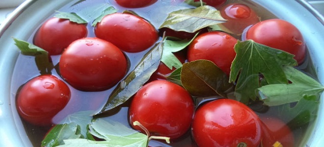 Малосольные помидоры в бочке - рецепт