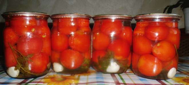 маринованные помидоры без уксуса с лимонной кислотой