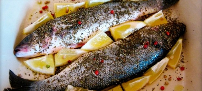 Сибас в духовке – самые вкусные рецепты блюд из запеченной рыбы