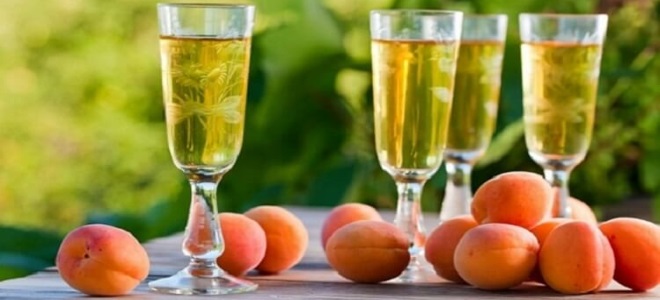 вино из абрикоса простой рецепт