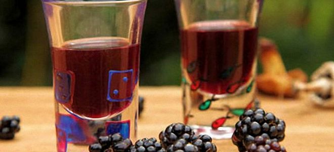вино из красной смородины и ежевики