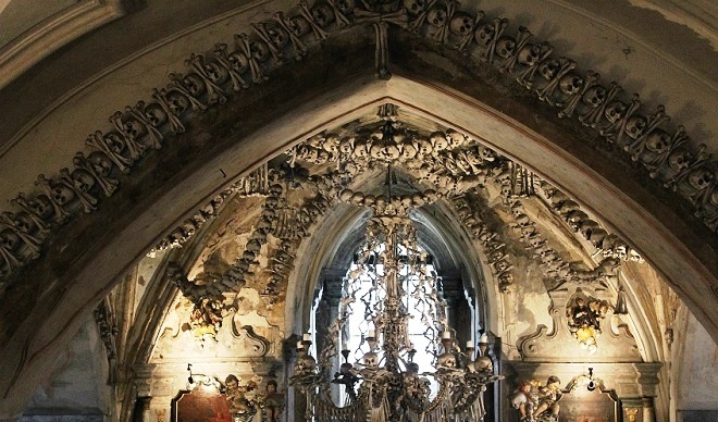 Музей костей