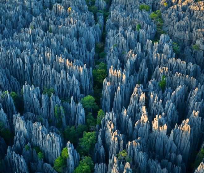 Каменный лес - Цинги-дю-Бемараха