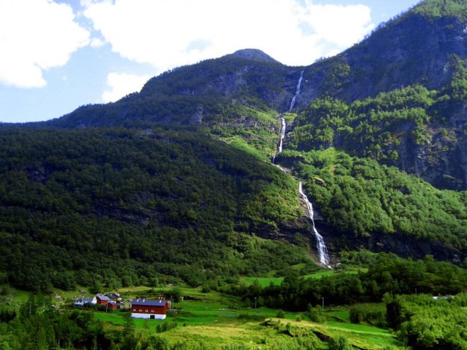 Леса Норвегии