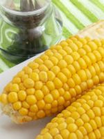 Как варить кукурузу – как правильно выбрать кочаны, рецепты приготовления разными способами