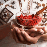 Как правильно приготовить ягоды годжи для похудения