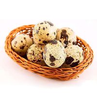 перепелиные яйца полезные свойства