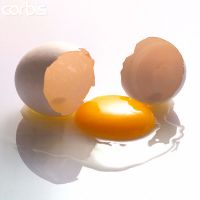 сырые яйца польза и вред