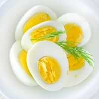 яично-белковая диета