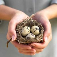 польза перепелиных яиц для детей