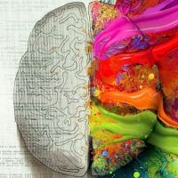 развитие правого полушария мозга