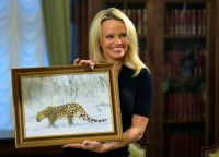 Памела Андерсон приняла шефство над одним из дальневосточных леопардов