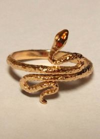 кольцо змея 1